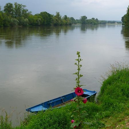 Escale De Loire Bed & Breakfast Chouze-sur-Loire Bagian luar foto