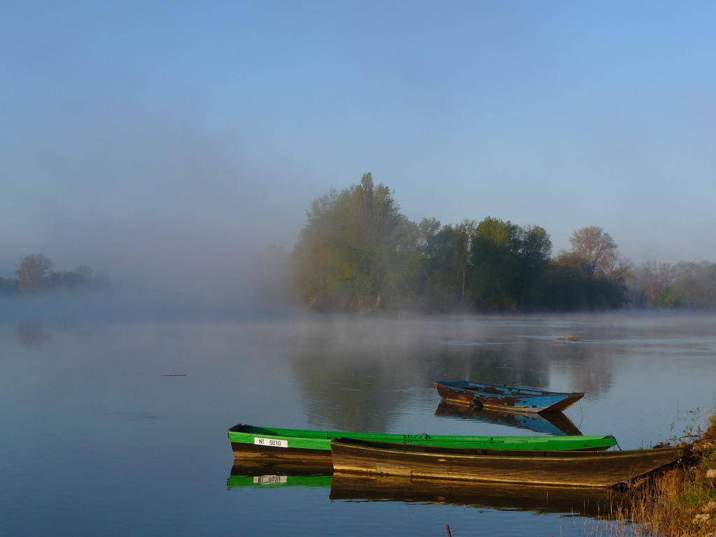 Escale De Loire Bed & Breakfast Chouze-sur-Loire Bagian luar foto