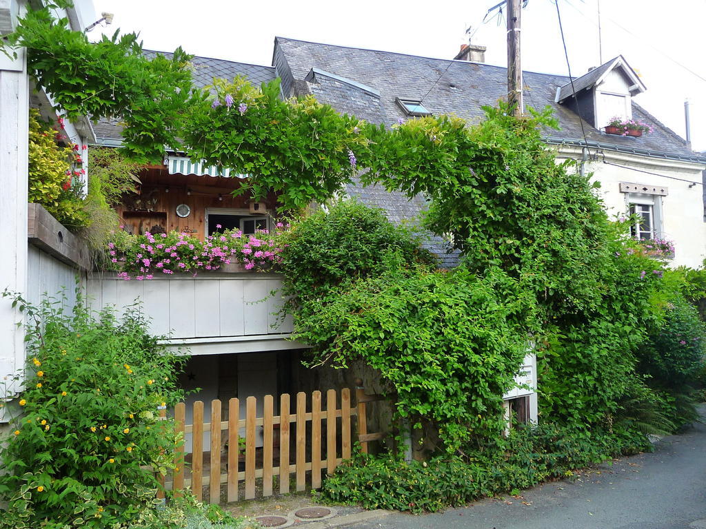 Escale De Loire Bed & Breakfast Chouze-sur-Loire Bagian luar foto