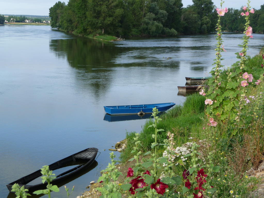 Escale De Loire Bed & Breakfast Chouze-sur-Loire Bagian luar foto